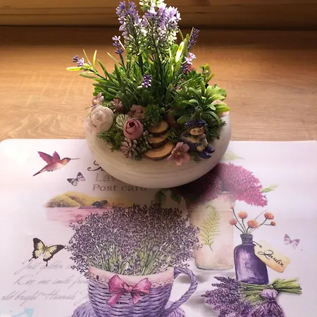 Διαμέρισμα Hetedhet Csillag Apartmanhaz