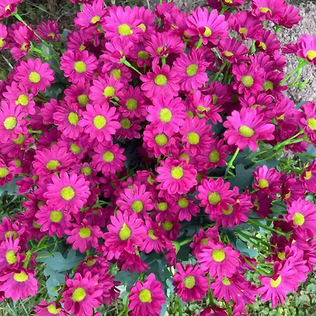 Lägenhet Hetedhet Csillag Apartmanhaz Babonymegyer