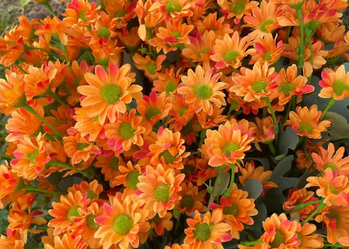 Apartment Hetedhet Csillag Apartmanhaz Babonymegyer