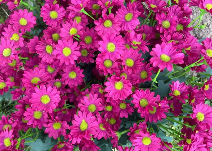 Apartamento Hetedhét Csillag Babonymegyer